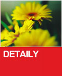 detaily